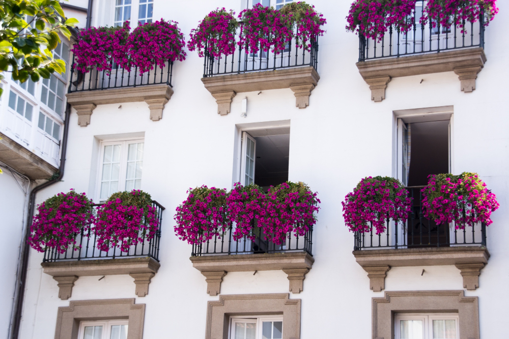Real Estate Personal Shopper for british buyers